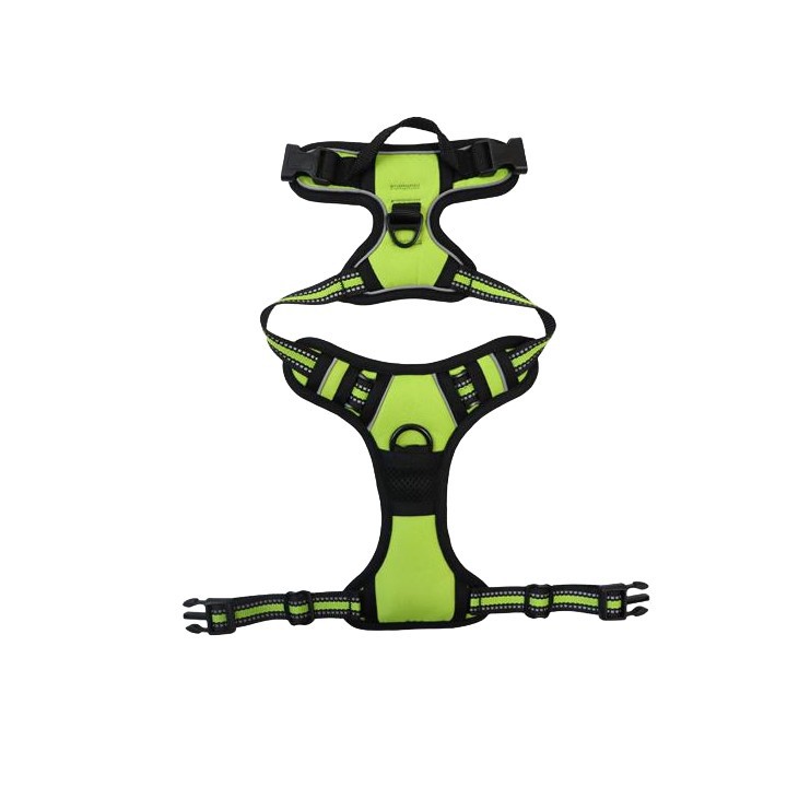 Dual Clip No Pull Dog Harness