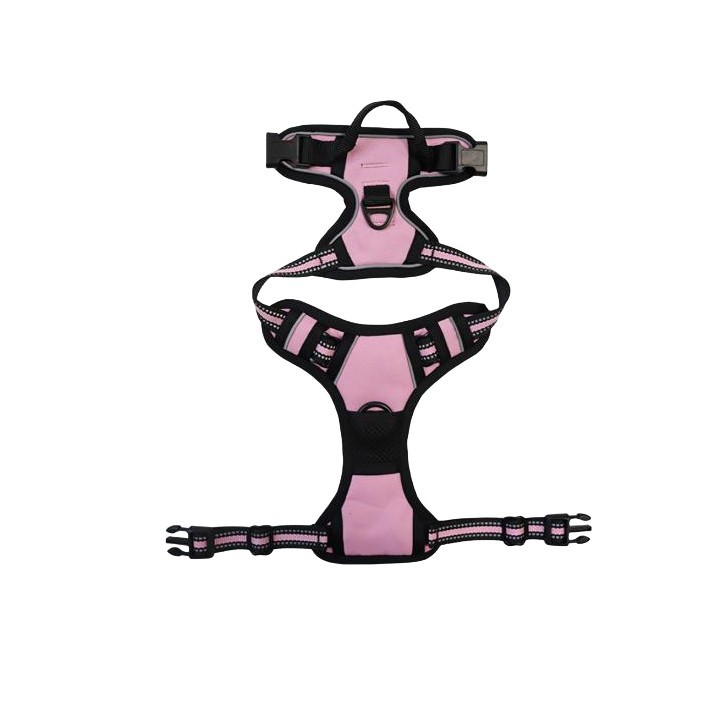 Easy Control Dual Clip Dog Harness