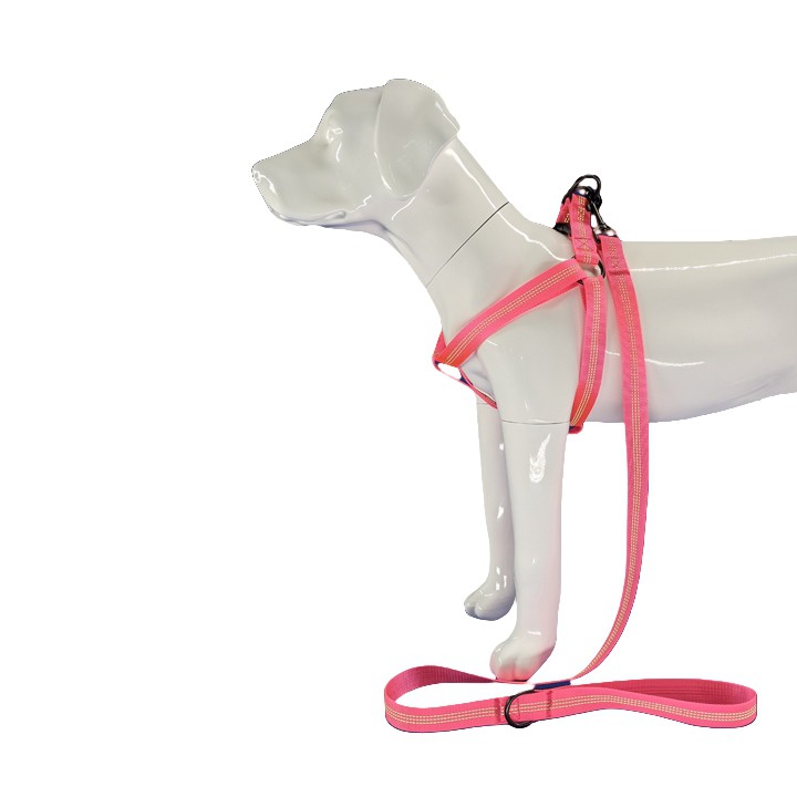 مهار بازتابی سگ صورتی داغ