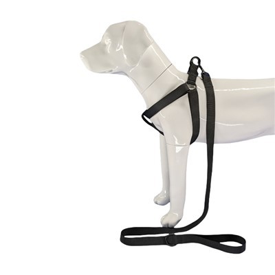 مهار سگ سیاه