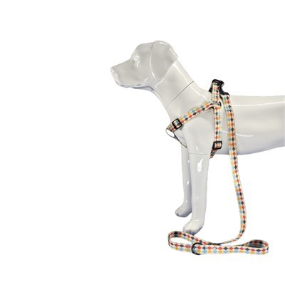 طراحی بند سگ چاپی