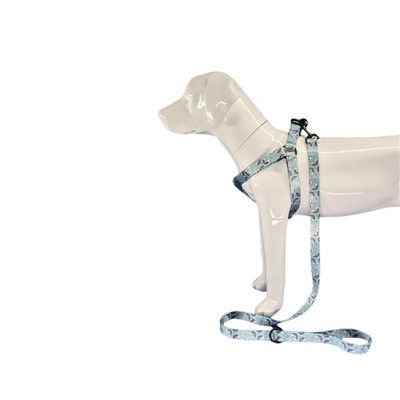 مهار سگ برای سگ های بزرگ