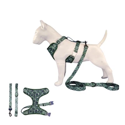 مهار سگ برای سگ های کوچک