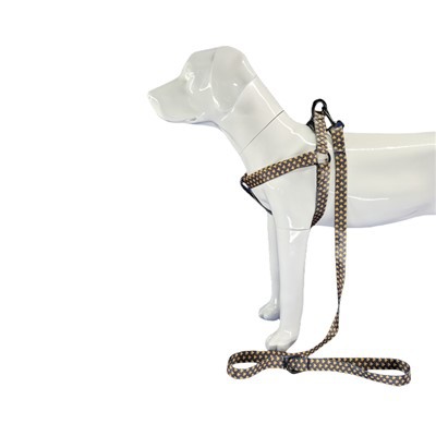 مهار سگ اثبات فرار