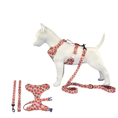 مهار سگ دختر