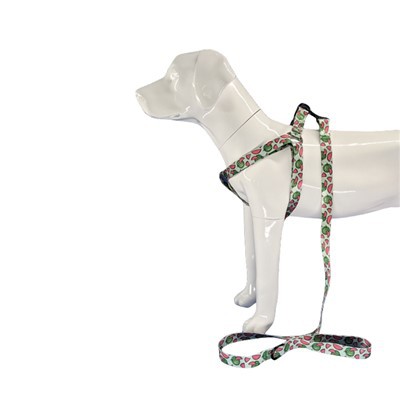 مهار سگ هالتر