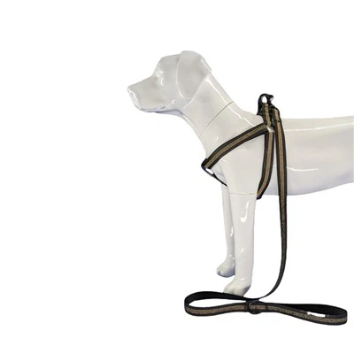 مهار سگ سیاه منعکس کننده نور