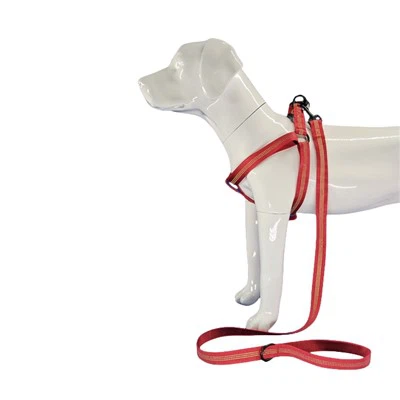 مهار سگ قرمز منعکس کننده نور