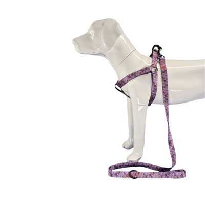 مرحله روبان در مهار سگ