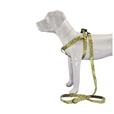 مهار سگ اردک لاستیکی