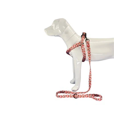 مهار سگ توت فرنگی