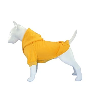 هودی سگ زرد