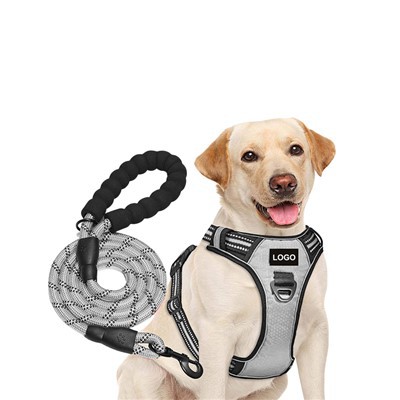 ست بند سگ و بند سگ سفارشی