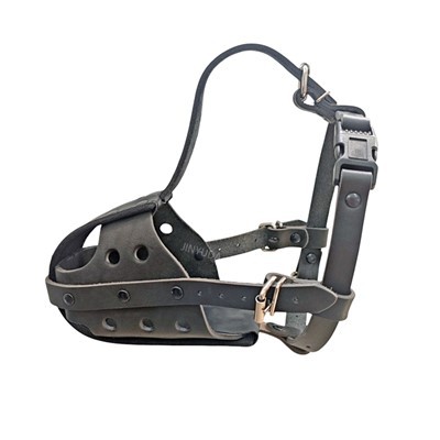 پوزه سگ برای بولداگ