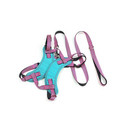 بدون ست بند و بند سگ کش