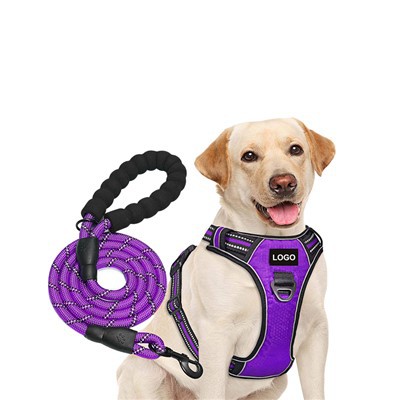 ست بند سگ بند و طناب سگ آرم شخصی